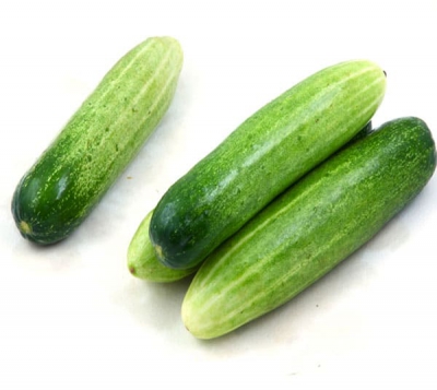 Dưa Leo